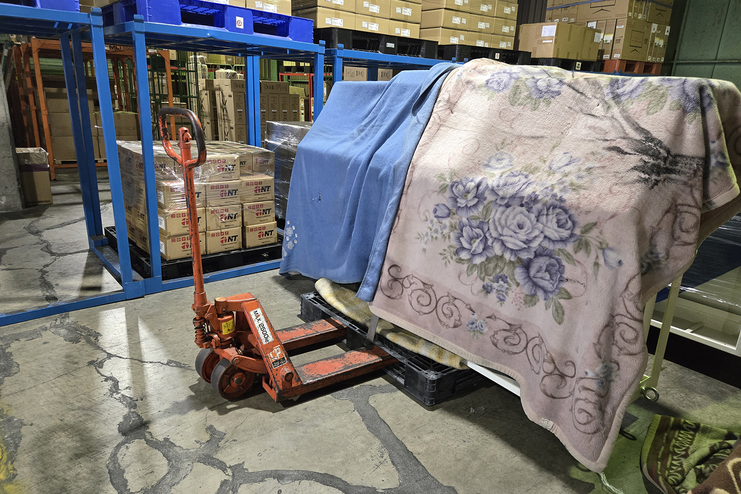 倉庫内のマテハン 〜 画像5