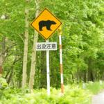 【画像】クルマを運転中「クマ」に遭遇したら？　クラクションやパッシングで追っ払おうは論外！　極力刺激せずに距離を取るが最善策だった 〜 画像3