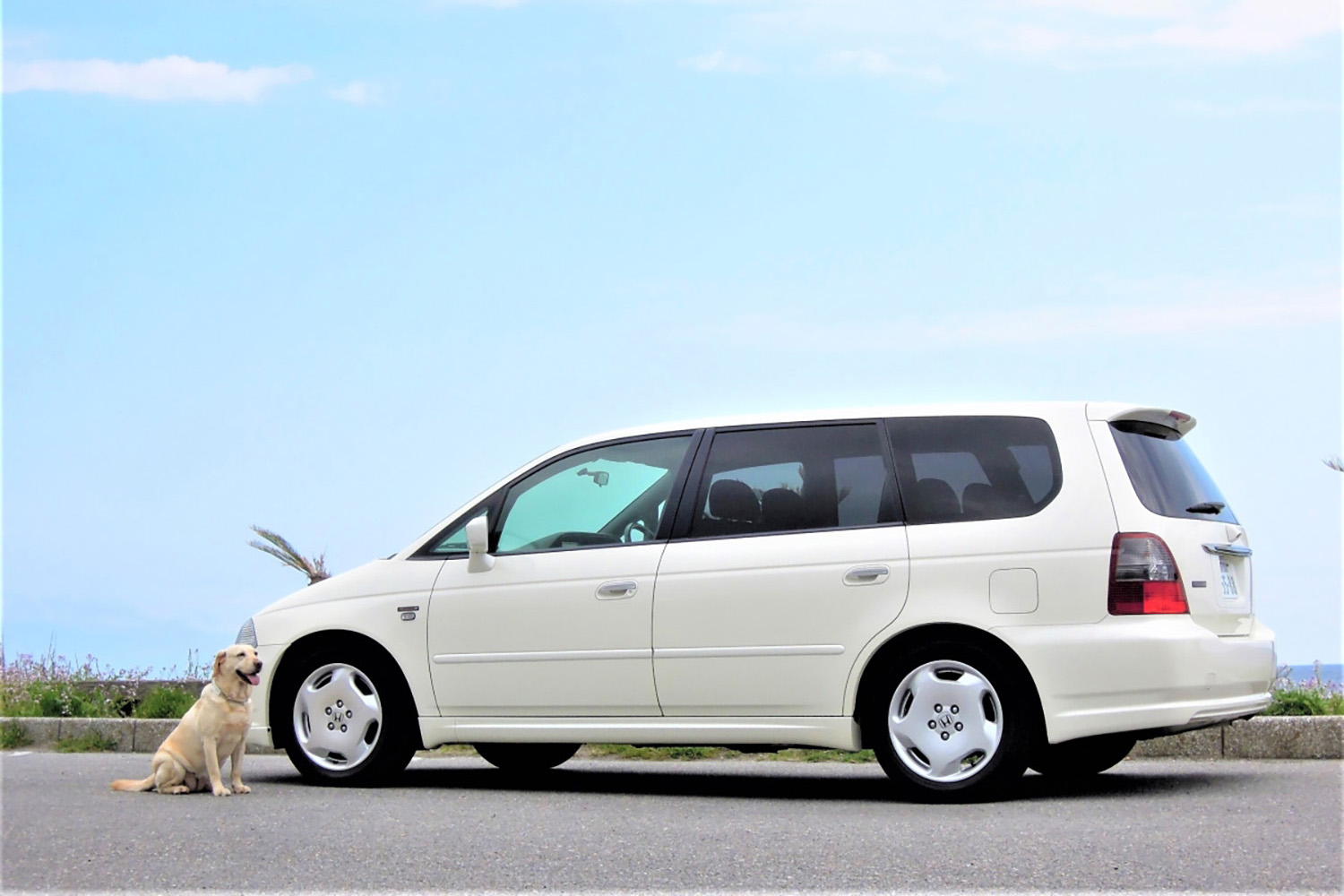 インチアップした見た目の裏で起きる「乗り心地と性能」の変化とは 〜 画像1