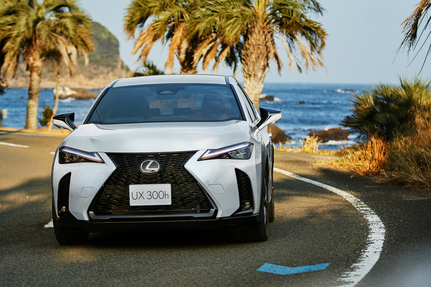 レクサス UX300h