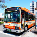 【画像】イマドキ軽だって商用車だって付いてるのになぜ？　路線バスに先進安全装備が採用されないワケ 〜 画像6