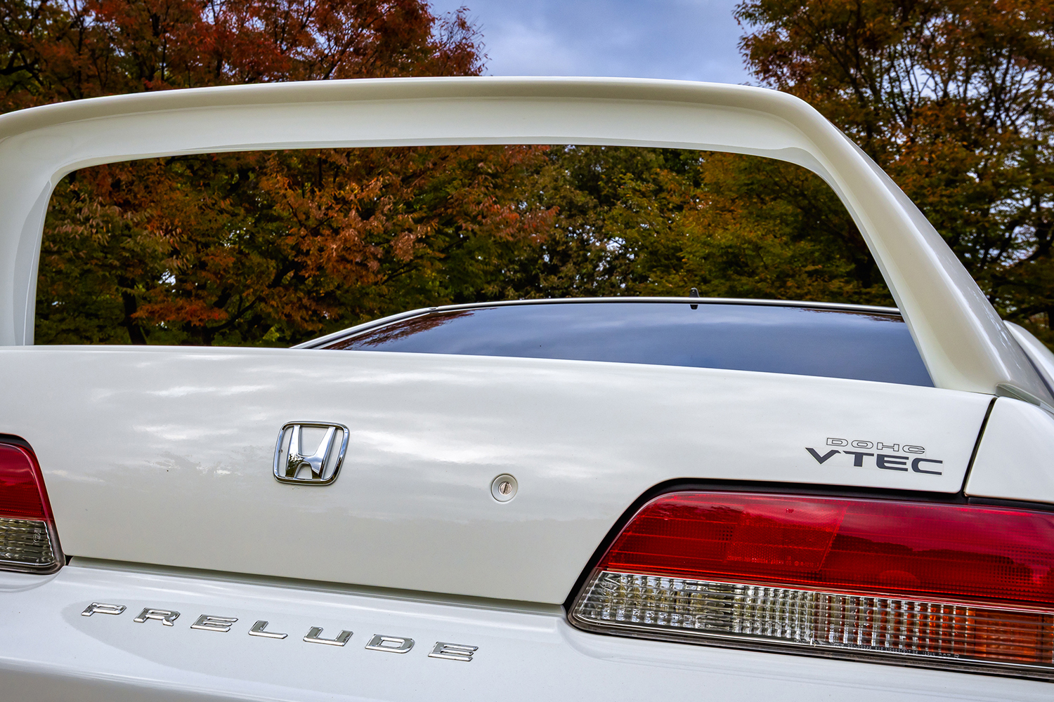 0122_prelude_sir20251111_0227 〜 画像19