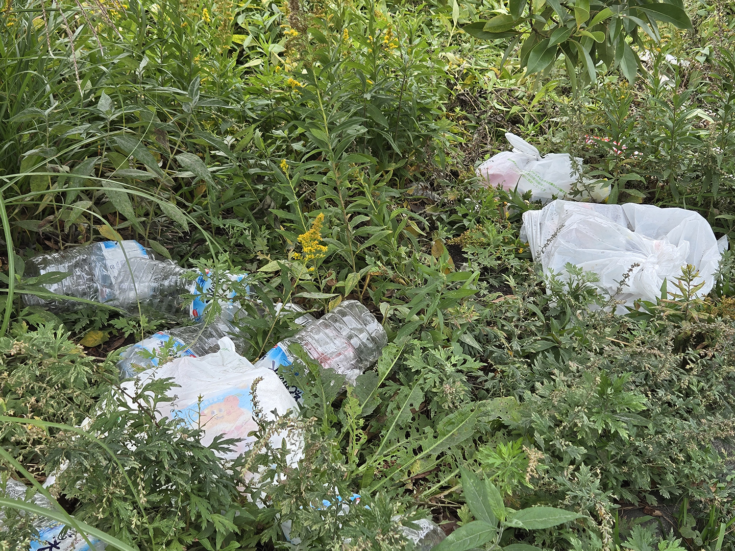 ふ頭に捨てられたゴミのイメージ