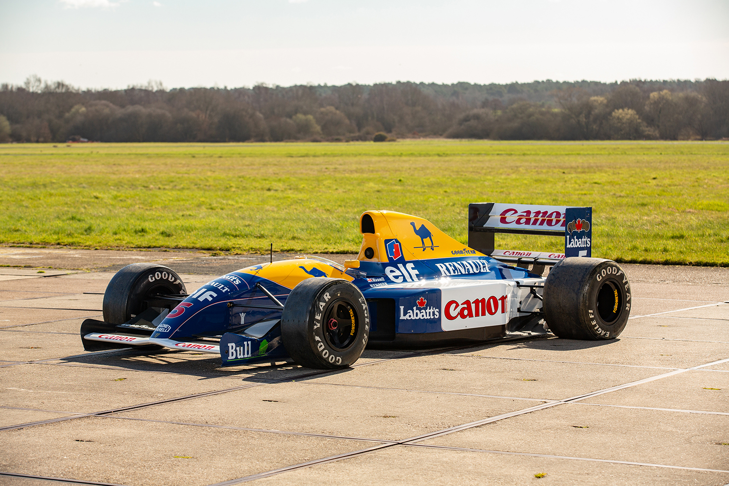 Williams renault fw14