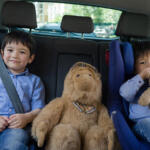 【画像】タバコや飲食は「ながら運転」にはならない？　直接取り締まる法律はないが「違反になる可能性」はゼロじゃない 〜 画像4