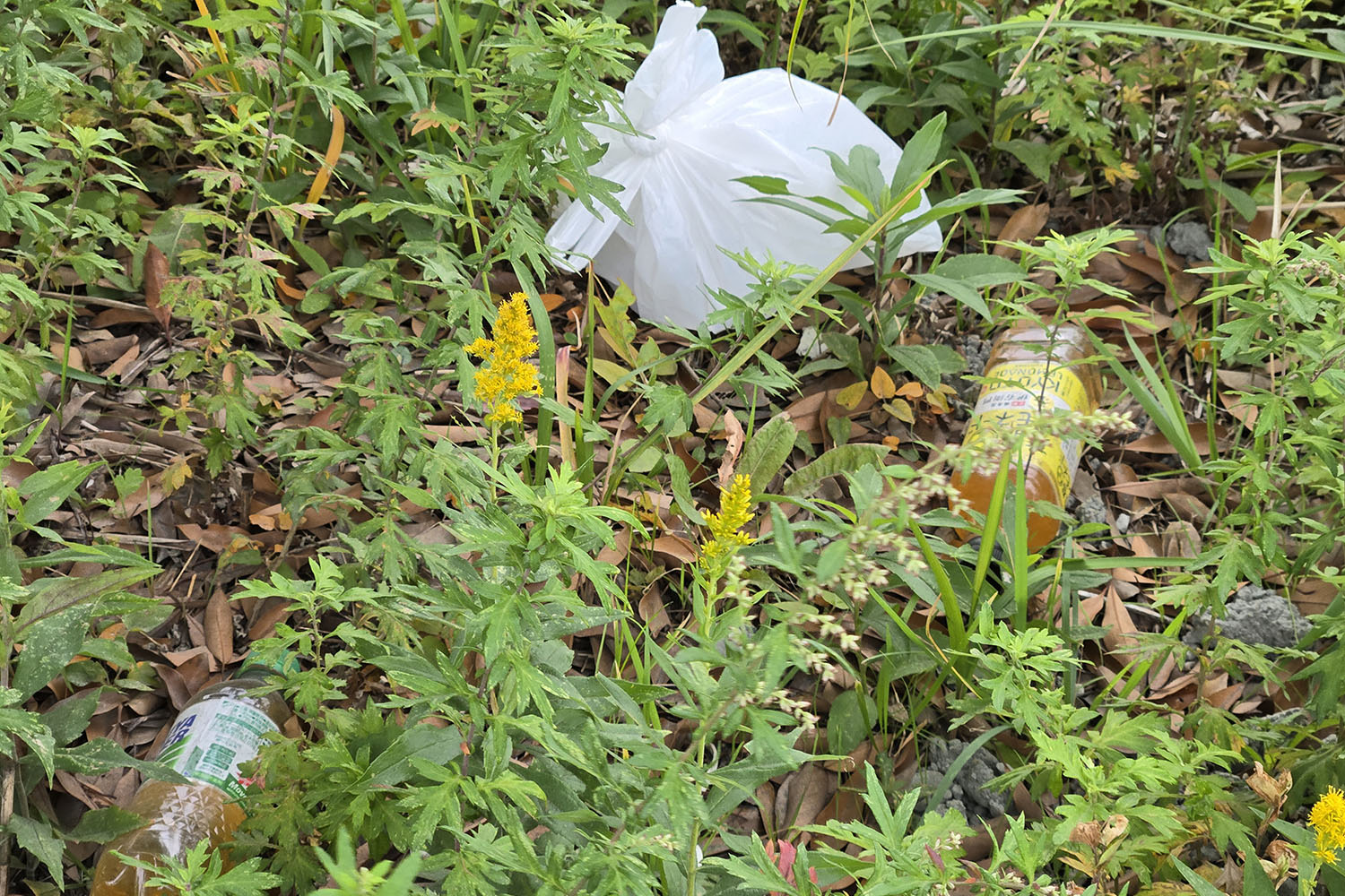 20260102_notenter_015 〜 画像15