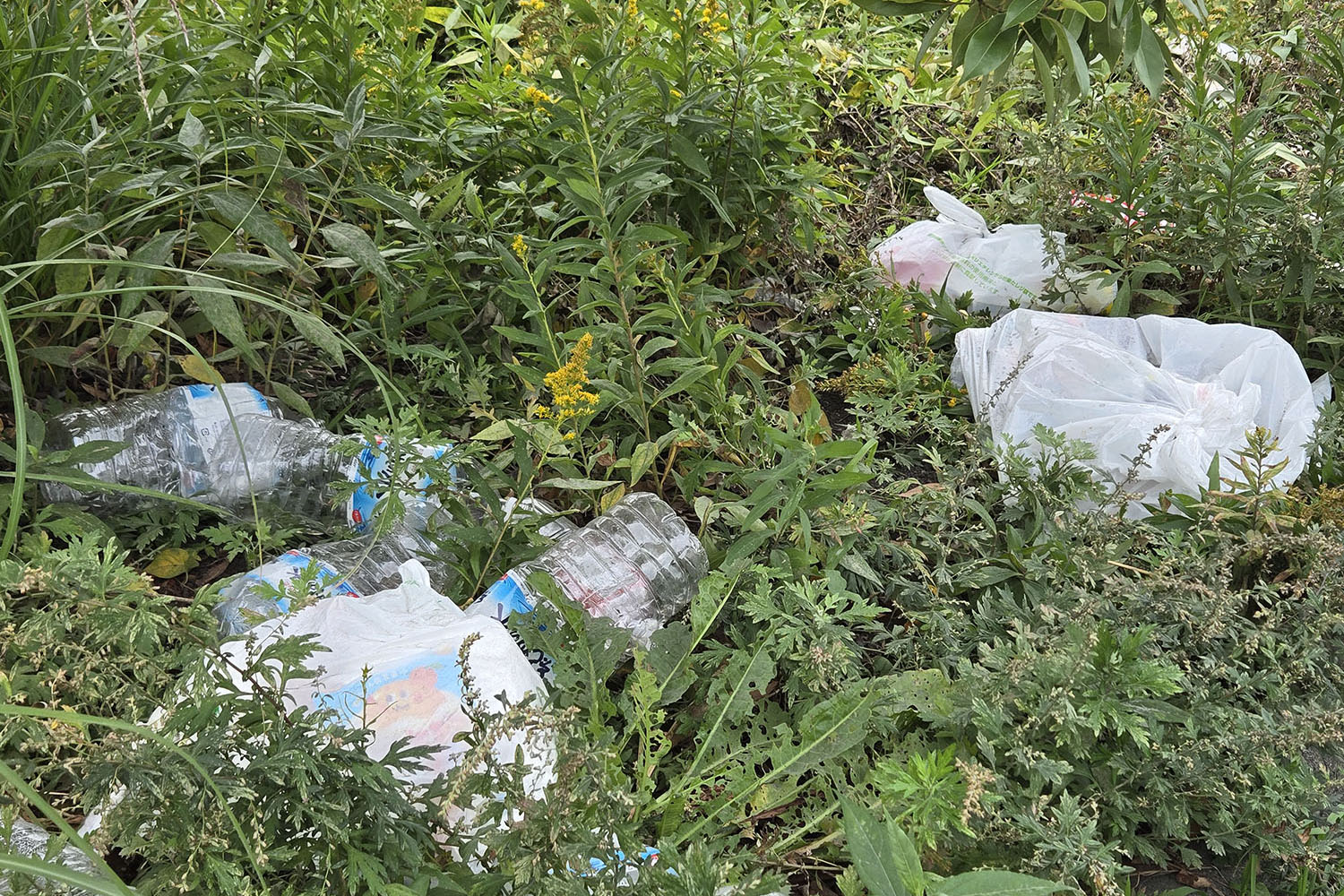 20260102_notenter_016 〜 画像16