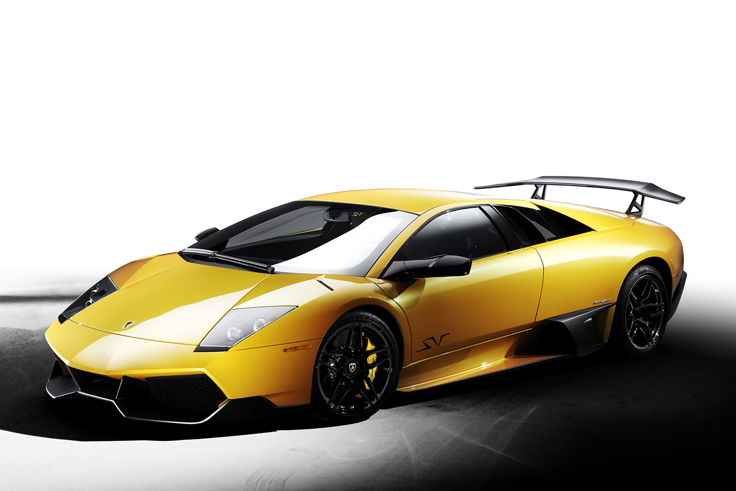 20260119_nurcielago_003 〜 画像5