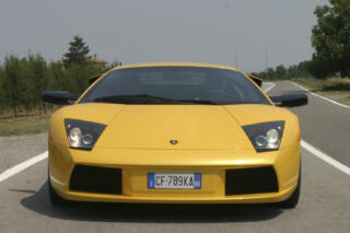 20260119_nurcielago_005