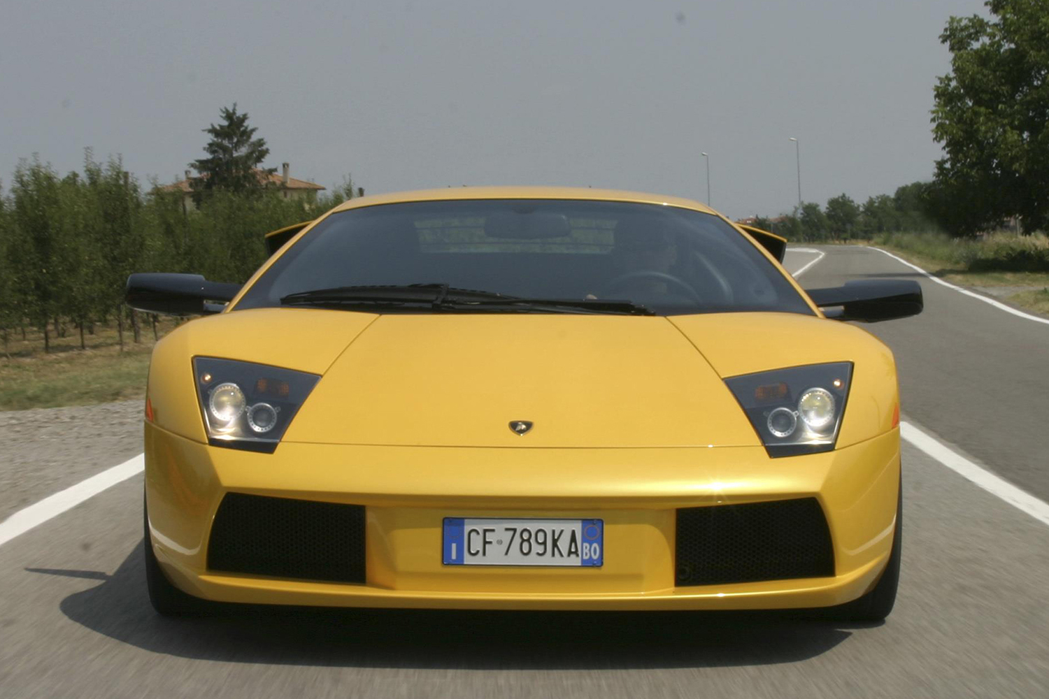 20260119_nurcielago_005