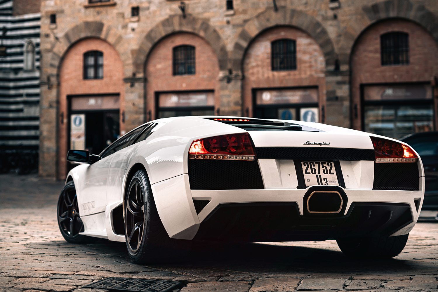 20260119_nurcielago_008 〜 画像9