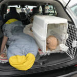 【画像】わんこ好きならホンダ車選ぶしかないだろ！　愛犬にも飼い主にも刺さりまくるアクセサリーが揃っていた 〜 画像1