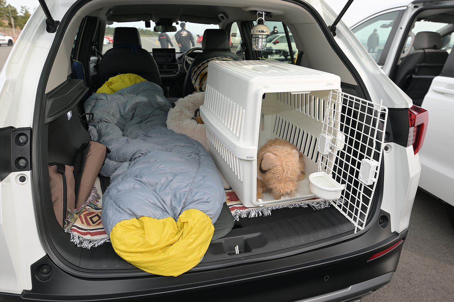 ホンダアクセスが展開するペットアイテム「Honda Dog」 〜 画像1