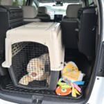 【画像】わんこ好きならホンダ車選ぶしかないだろ！　愛犬にも飼い主にも刺さりまくるアクセサリーが揃っていた 〜 画像5