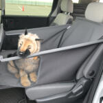 【画像】わんこ好きならホンダ車選ぶしかないだろ！　愛犬にも飼い主にも刺さりまくるアクセサリーが揃っていた 〜 画像6