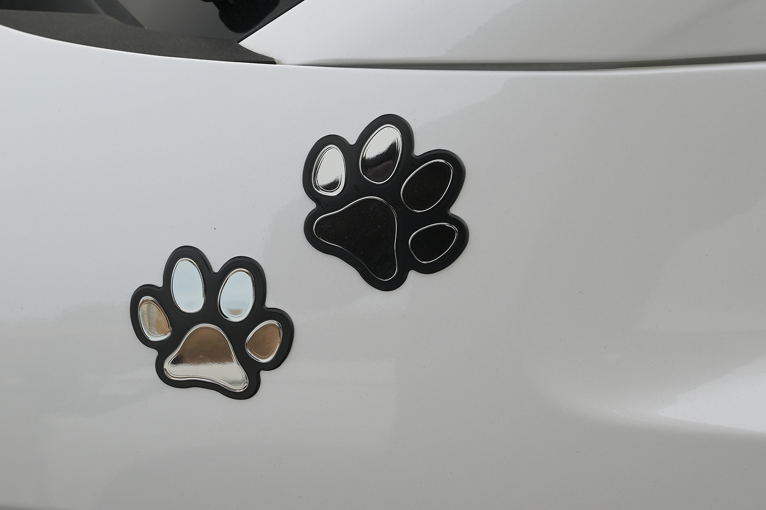 ホンダアクセスが展開するペットアイテム「Honda Dog」 〜 画像8