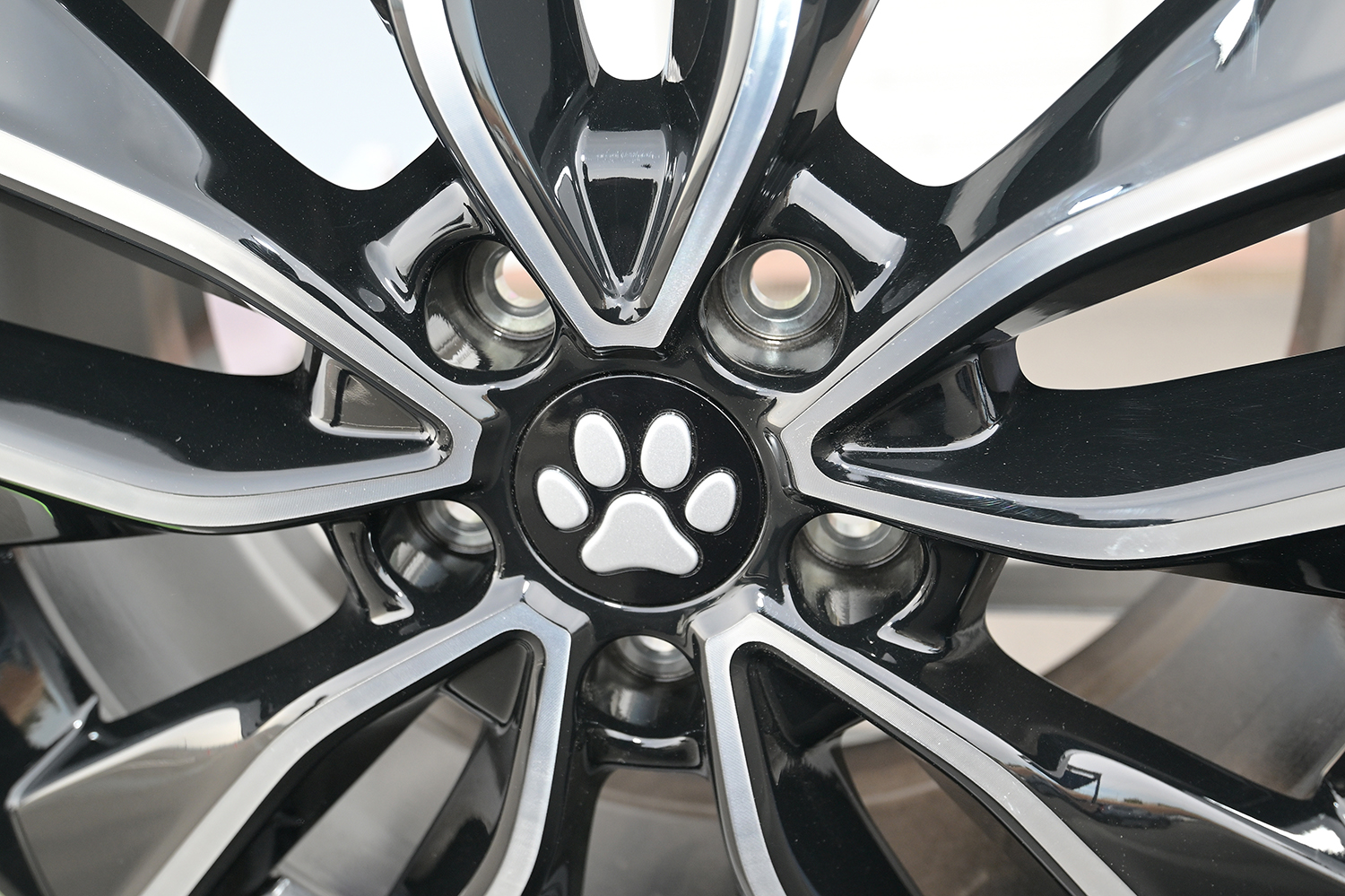 ホンダアクセスが展開するペットアイテム「Honda Dog」 〜 画像10