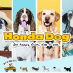 【画像】わんこ好きならホンダ車選ぶしかないだろ！　愛犬にも飼い主にも刺さりまくるアクセサリーが揃っていた 〜 画像14
