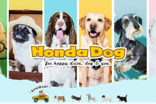 ホンダアクセスが展開するペットアイテム「Honda Dog」