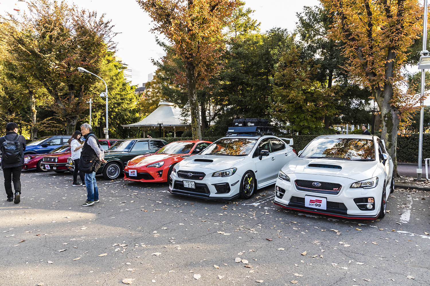 参加したクルマたち