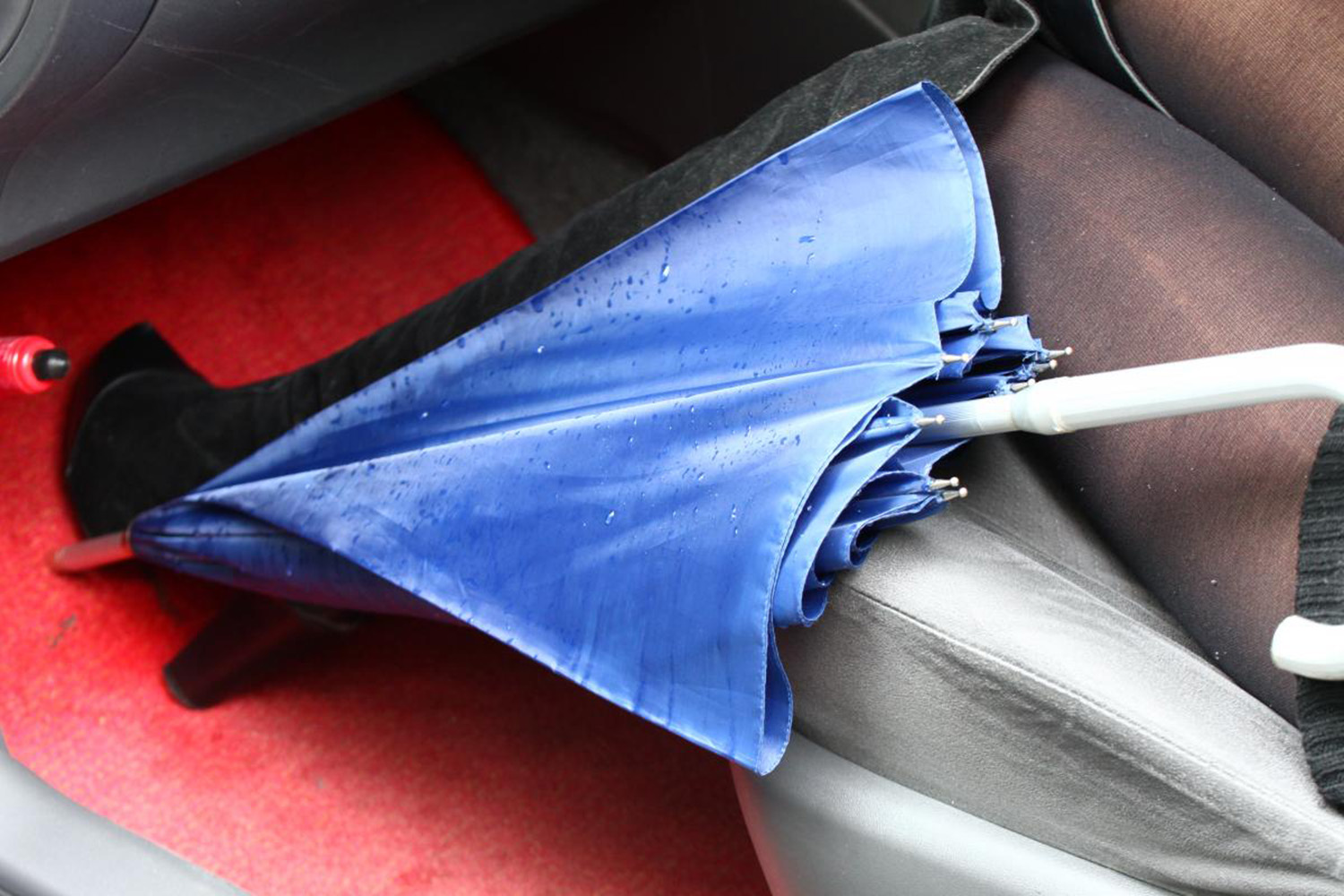 気になるニオイには芳香剤ではなく「３つの原因」を対策すべし 〜 画像12