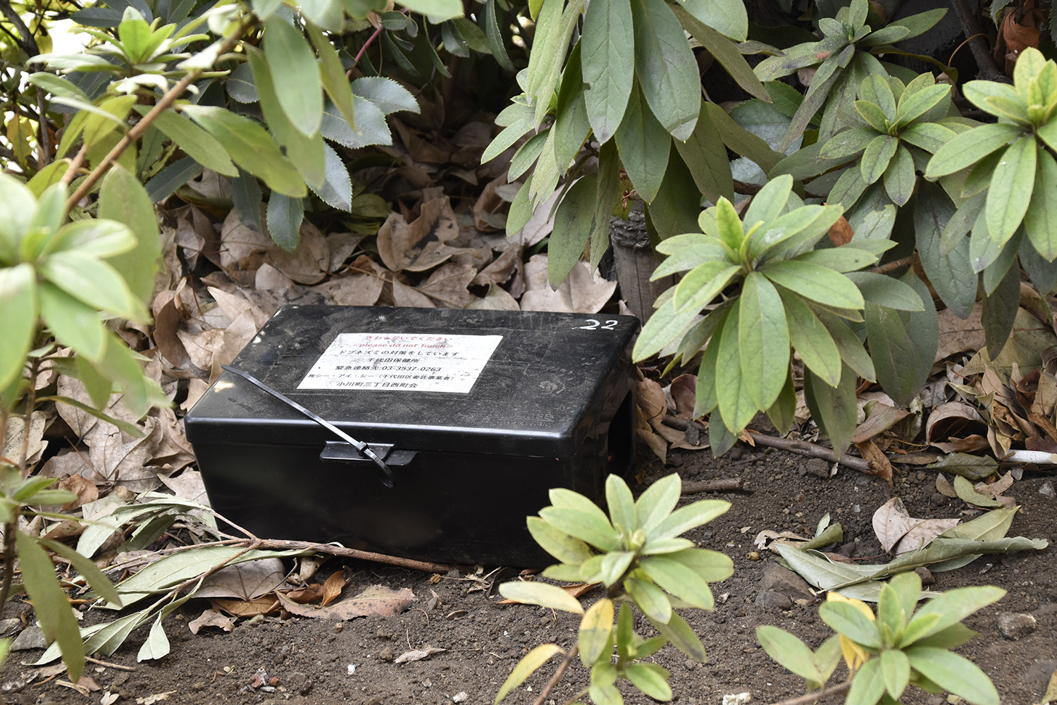 道路の植え込みに突如出現した黒い箱は街の環境を守る重要アイテムだった 〜 画像1