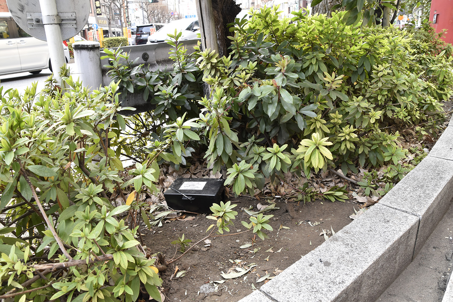 ドブネズミ駆除箱のイメージ