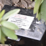 大都会の道路脇に謎のブラックボックスを多数発見！　怪しげな箱の中身とは？