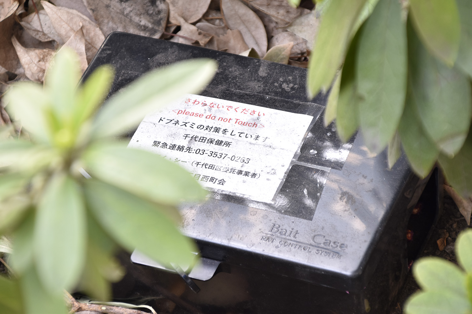 道路の植え込みに突如出現した黒い箱は街の環境を守る重要アイテムだった