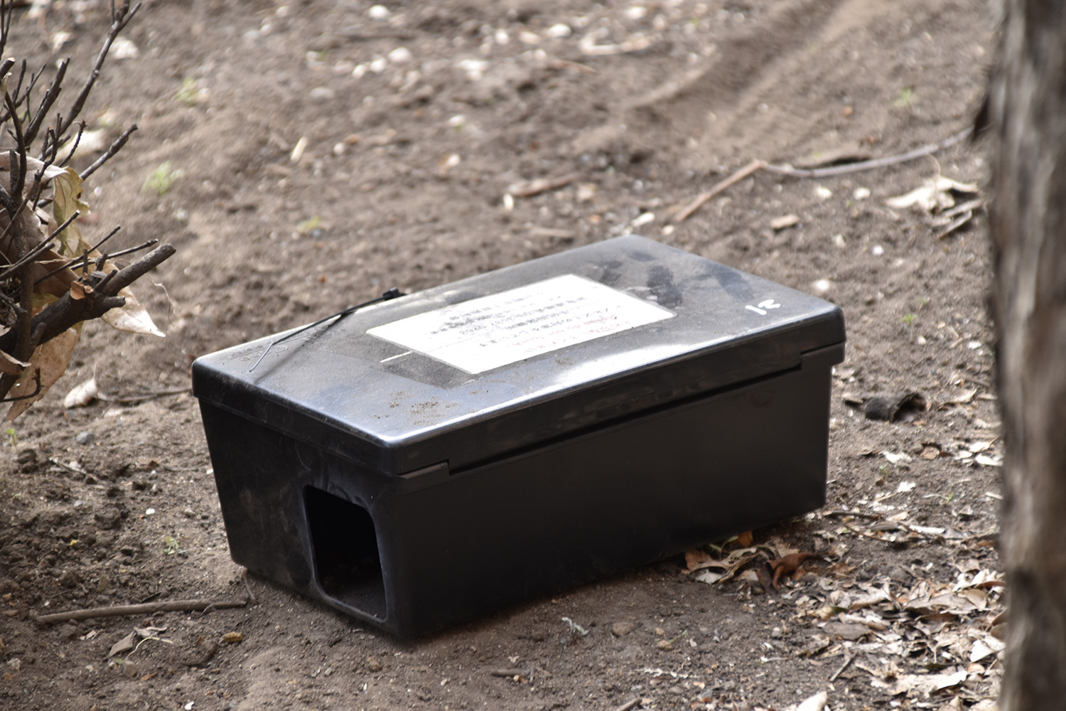 道路の植え込みに突如出現した黒い箱は街の環境を守る重要アイテムだった 〜 画像4