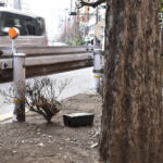 【画像】大都会の道路脇に謎のブラックボックスを多数発見！　怪しげな箱の中身とは？ 〜 画像5