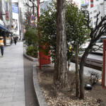 【画像】大都会の道路脇に謎のブラックボックスを多数発見！　怪しげな箱の中身とは？ 〜 画像7