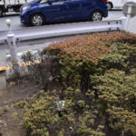 【画像】大都会の道路脇に謎のブラックボックスを多数発見！　怪しげな箱の中身とは？ 〜 画像8