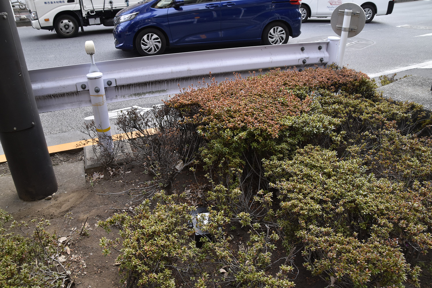 道路の植え込みに突如出現した黒い箱は街の環境を守る重要アイテムだった 〜 画像8