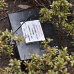 【画像】大都会の道路脇に謎のブラックボックスを多数発見！　怪しげな箱の中身とは？ 〜 画像13