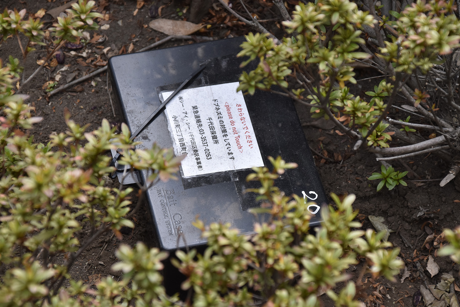 ドブネズミ駆除箱のイメージ