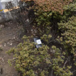 【画像】大都会の道路脇に謎のブラックボックスを多数発見！　怪しげな箱の中身とは？ 〜 画像9