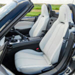 【画像】「黄色」「紫」「雷雨」「寒雷」がクルマの名前ってマジか！　海外じゃ普通の日本語までもが「クール」だった 〜 画像2