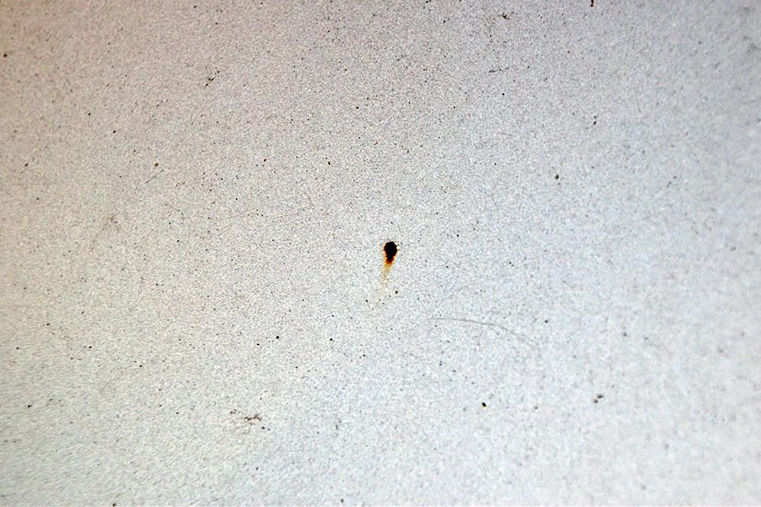 ボンネットのサビ