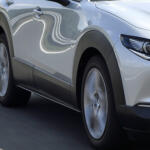 【画像】走れば走るほどクルマのボディに鉄が刺さるってどういうこと？　除去しないとどんどんクルマが傷んでいく「鉄粉」対策とは 〜 画像4