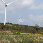 【画像】日本で作るにはまだまだ課題の多い「バイオ燃料」！　けっきょく精製に電気を使うならEVのほうが有利 〜 画像1