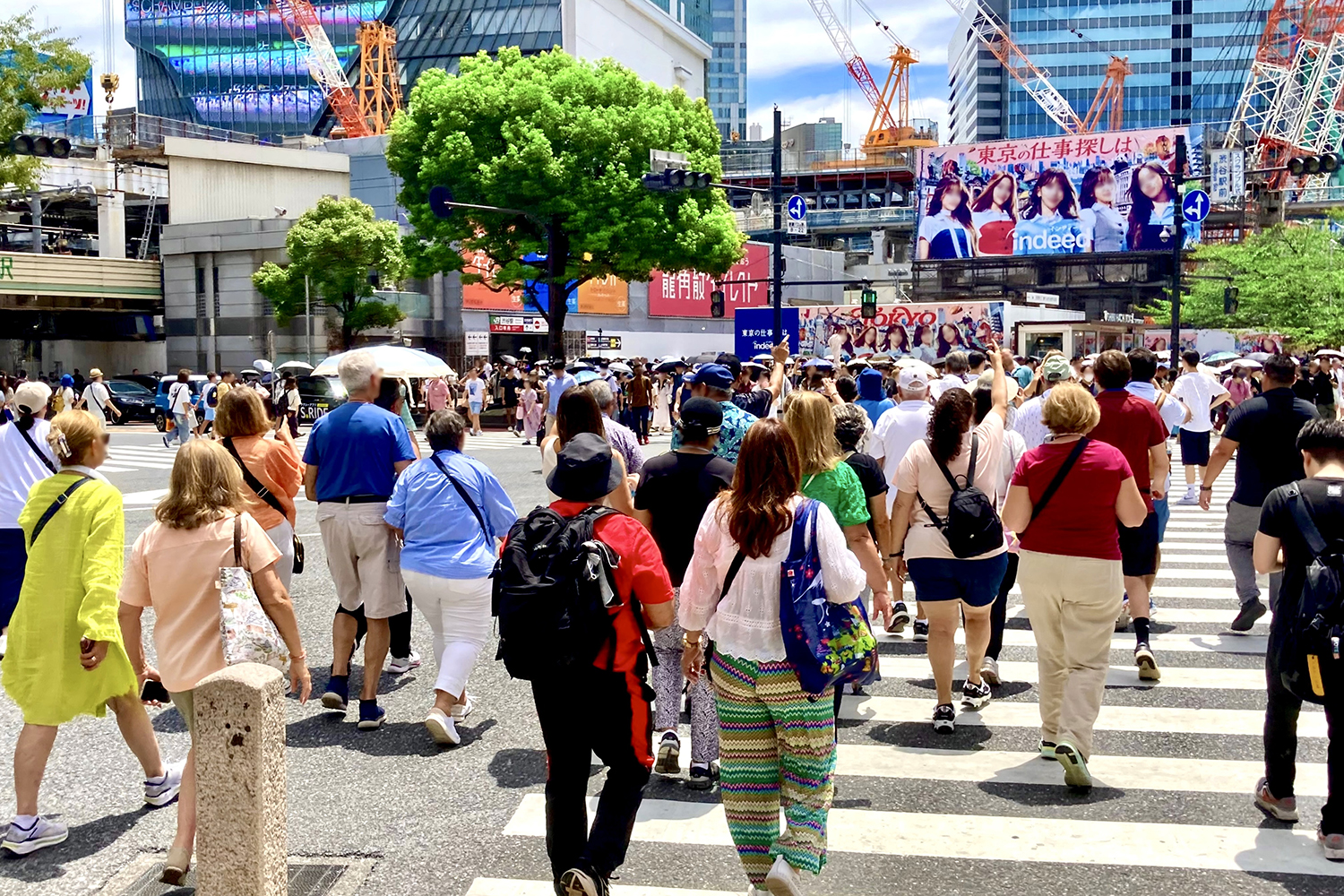 日本観光をするインバウンド 〜 画像2