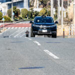 【画像】協調人工知能があればカーナビどころか地図ナシで自動運転を実現！　ホンダがを小田原でスタートしたCI自動運転の実証実験とは 〜 画像13