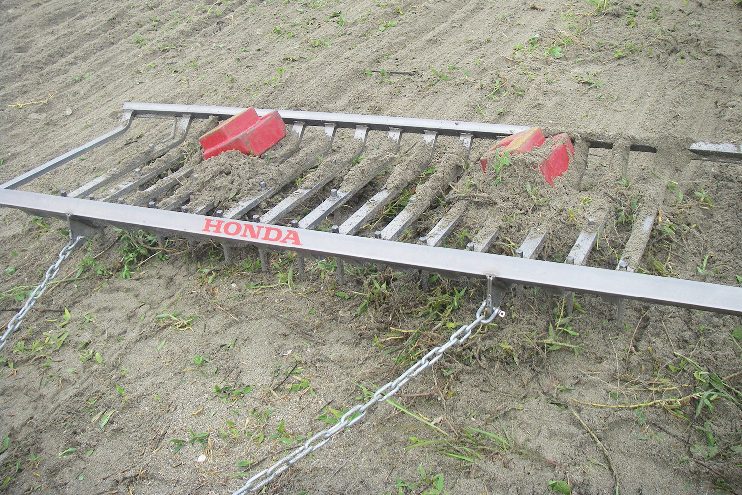 年間で7247人が参加した「Hondaビーチクリーン」が日本全国で根強く続くワケ 〜 画像8