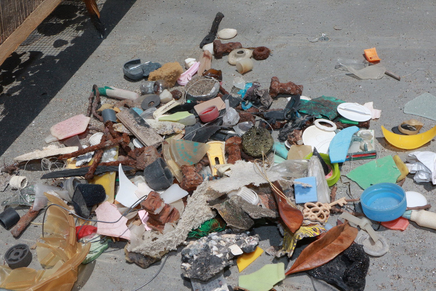 年間で7247人が参加した「Hondaビーチクリーン」が日本全国で根強く続くワケ 〜 画像20