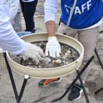 【画像】ただの砂浜のゴミを拾うだけ……じゃないからホンダなのだ！　「Hondaビーチクリーン」で見せつける技術屋魂とは!! 〜 画像43