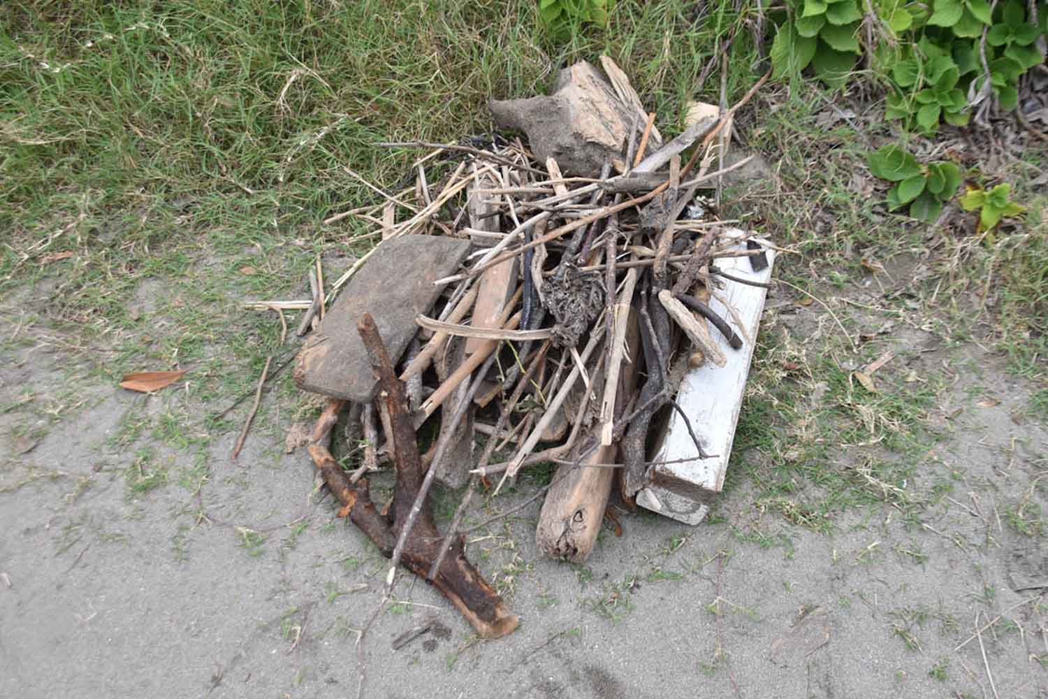 年間で7247人が参加した「Hondaビーチクリーン」が日本全国で根強く続くワケ 〜 画像51