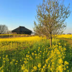【画像】いまじゃそこかしこに見かける道の駅はいつが始まり？　元祖……と呼んでいいだろう道の駅５つの魅力を紹介!! 〜 画像2
