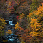 【画像】いまじゃそこかしこに見かける道の駅はいつが始まり？　元祖……と呼んでいいだろう道の駅５つの魅力を紹介!! 〜 画像7