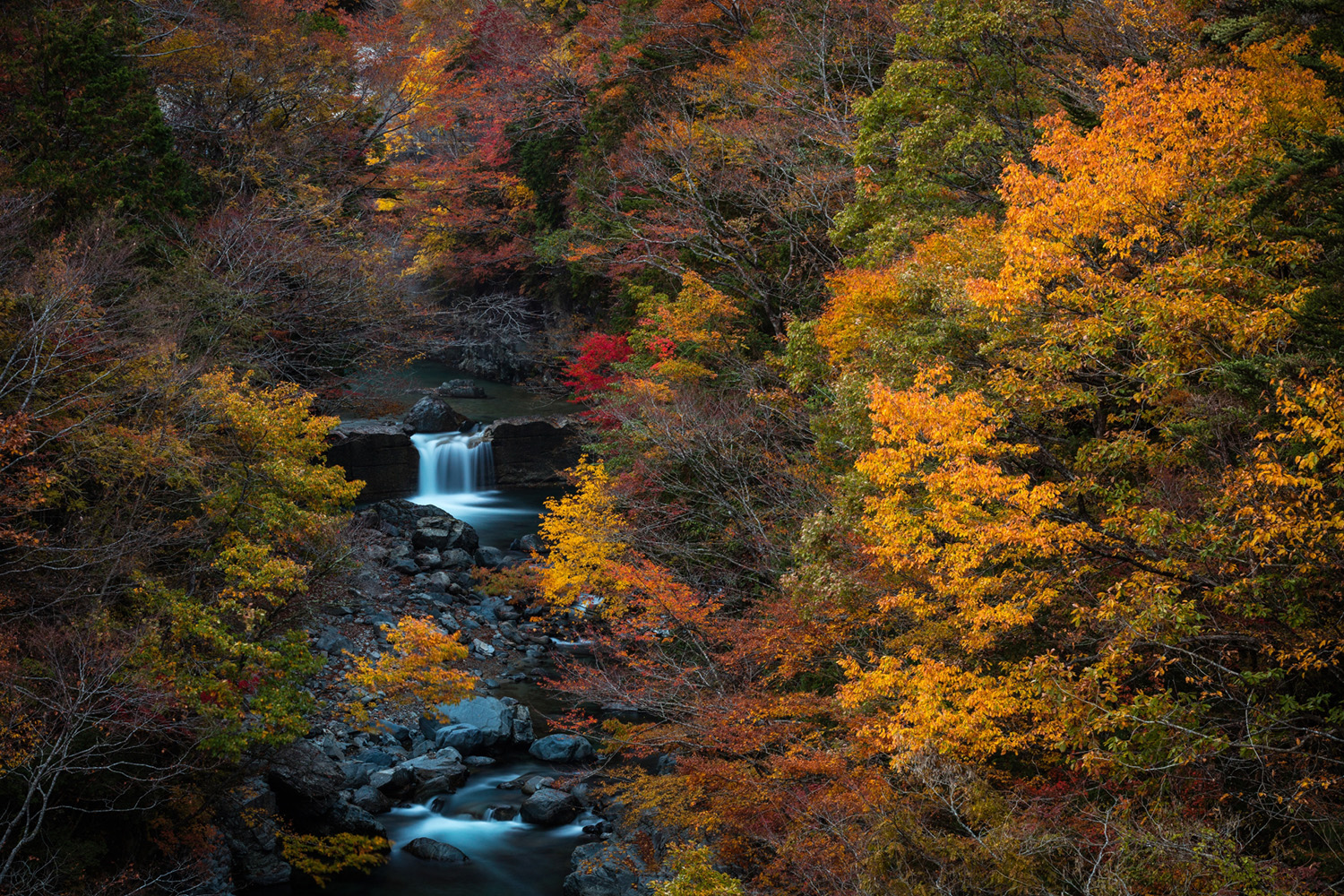 「付知峡」に流れる滝と紅葉
